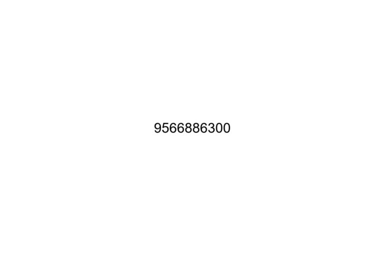 9566886300