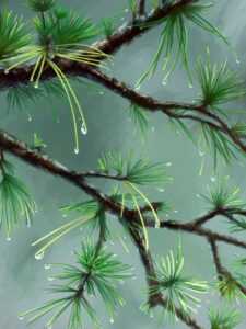 physical health synonym