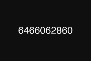 6466062860