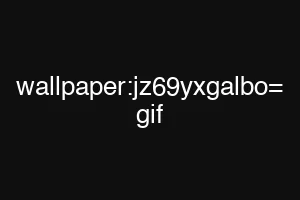 wallpaper:jz69yxgalbo= gif
